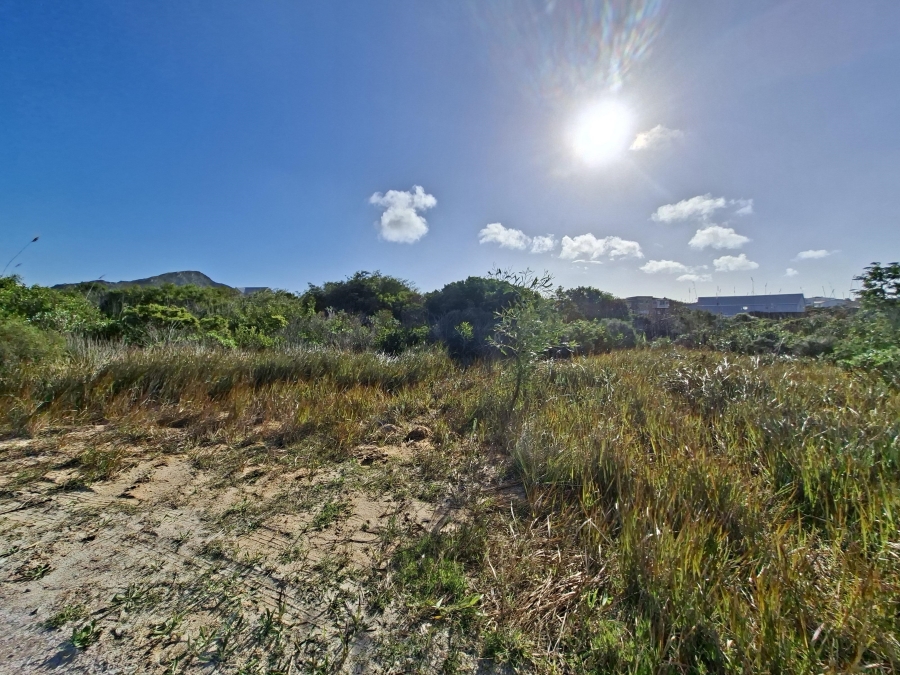 0 Bedroom Property for Sale in Pringle Bay Western Cape